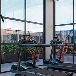 Fitness